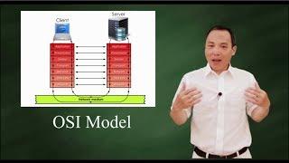 OSI Model