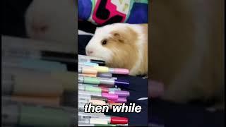 Guinea Pig Artist? He Chose His Own Markers! 