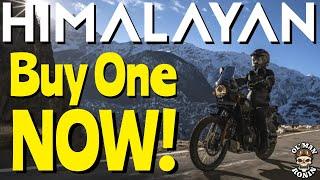 2022 Royal Enfield Himalayan BUY ONE NOW! | Ol' Man Ronin (S5,E17)