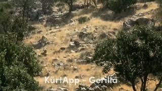 Kürdistan HPG Gerilla'ları Kamuflaj Videosu | KürtApp - Gerilla #gerilla #kurdistan