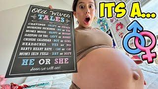 BOY or GIRL ??? | The Unicorn Family