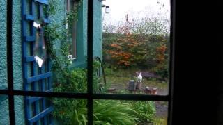 Bealtaine Cottage Permaculture