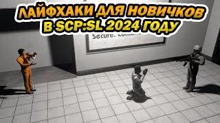 10 ЛАЙФХАКОВ ДЛЯ НОВИЧКОВ В 2024 ГОДУ | #scpsl