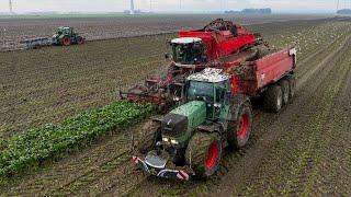 The Beet Battle | *NEW* first Fendt 728 Gen7 | 936 Gen6, 926 Gen3 | Blitterswijk Agro | Harvest 2023