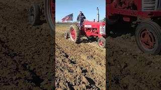 Happy Memorial Day  #farmall51
