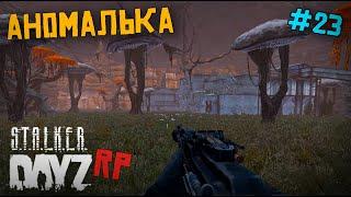 АНОМАЛЬНАЯ ПЕЩЕРА В ОДИНОЧКУ. DAYZ STALKER RP 23 серия