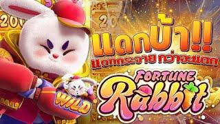 สล็อตกระต่าย pg สล็อต กระต่ายpg fortune rabbit สล็อตกระต่าย กระต่ายโดดพีจี ต่ายโดดpg