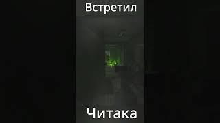 Escape from Tarkov встретил читака  #escape #тарков #shortsvideo #tarkov #arena #tagilla #propanbi4