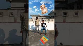 eating KitKat & icecream vs vimal & dog vfx magic video #shorts #shortsfeed