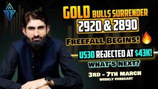 Gold Bulls Surrender 2920 & 2890 – Freefall Begins!  | US30 Rejected at $43K! What's Next? #trading