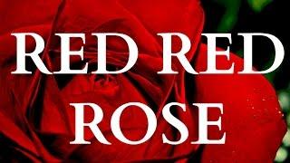  Scottish Music - My Love Is Like A Red Red Rose (LYRICS) 