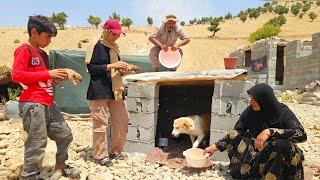 Javad's family builds a house for their beloved dog‍