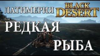 Black Desert - Редкая рыба - Латимерия