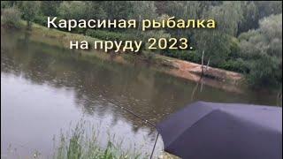 Карасиная рыбалка на пруду 2023. #рыбалка #рыбалканапоплавок #рыбалканакарася