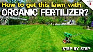 Best ORGANIC Lawn Fertilizer & Tricks making it Work