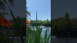 Here’s a Different Area to Watch Kitetails at Animal Kingdom 