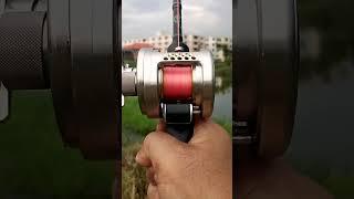 Shimano Conquest DC 100/101 #fishingvideo #shot #shots #fishing #shimanoreels #shimanocuradodc