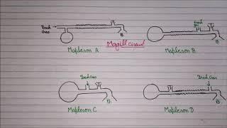 Mapleson Circuit | Anaesthesia Circuit (Breathing circuit) NEET PG