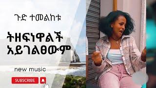 ጉድ ተመልከቱ ትዘፍነዋልችአይገልፀውም ዋው - New Ethiopian Music 2024 (Official Video)