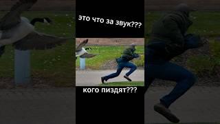 Sons Of The Forest / Дети напали #gaming #угар#sonsoftheforest#игры#юмор