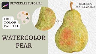 How to Paint a Realistic Watercolor Pear in Procreate | Beginner Friendly Procreate Tutorial