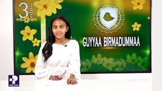 Oduu Piraayim | Qaammee 3, 2016 | Prime News | Prime Media