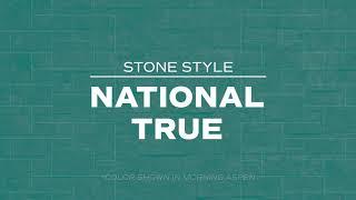 Evolve Stone Video    B National True