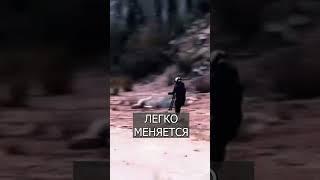 Китайцы придумали САМОКАТ-снегоход-вездеход   #шортс