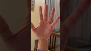 I am electrical generalized biological quantum computer Michael the great
