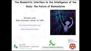 The Bioelectric Interface to the Intelligence of the Body: the future of biomedicine