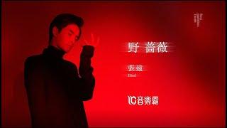 #經典情歌 為#愛  #永不低頭 的《#野薔薇》張遠