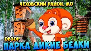 Обзор Парка приключений "Дикие белки"