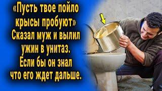 "Пусть твое пойло крысы едят" - сказал муж и вылил ужин в унитаз, если бы он знал что его ждет.