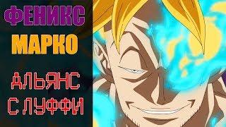 Phoenix Marco's ALLIANCE WITH LUFFY! | One Piece / Theory