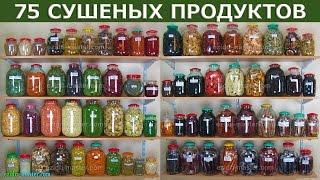 Мы высушили 75 продуктов в Ezidri. Посмотрите на результаты.