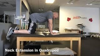 Neck Extension in Quadruped