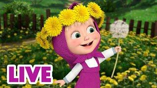  LIVE! Maşa İle Koca Ayı  Bitkiler ve çiçekler hakkında her şeyi öğrenin!  Masha and the Bear