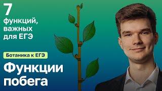 7.17 Функции побега | Ботаника к ЕГЭ | Георгий Мишуровский