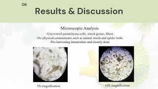 EREKA 2024 Pharmacognostic Evaluation of Durian Husk as Natural Therapeutic Agent