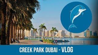 Крик парк Дубай. Creek Park Dubai - Vlog