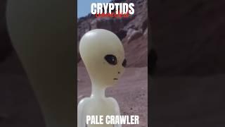 CRYPTIDS UNVEILED | MYSTERY OF THE PALE CRAWLER #cryptids #cryptid #paranormal #creature #alien