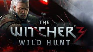 The Witcher 3: Wild Hunt FULL Walkthrough Gameplay - No Commentary (PC Longplay)