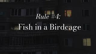 Rule #4 Fish in a Birdcage - Fish in a Birdcage (Lyrics video)