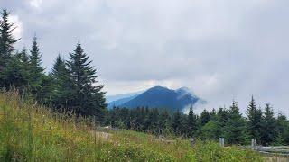 Was the Third Time a Charm? Mount Mitchell: Hiking the Highest Elevation East of the Mississippi