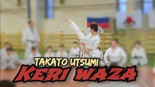 Keri Waza: Mae geri, yoko geri. Utsumi Takato sensei