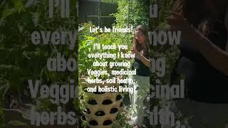 Growing a garden