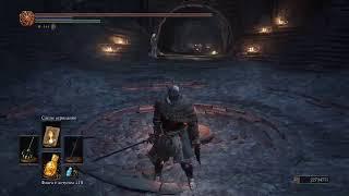 Dark Souls III PVP MAD DOG & Dark Beer PVP совместное прохождение «пожилых аутистов» ч.2