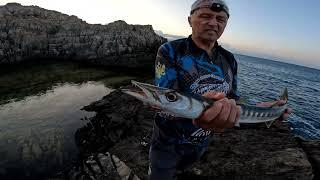 SHORE JIGGING ADRIATIC SEA SUMMER 2024