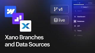 WWX Production and Staging with Xano branches and data sources