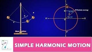 Simple Harmonic Motion